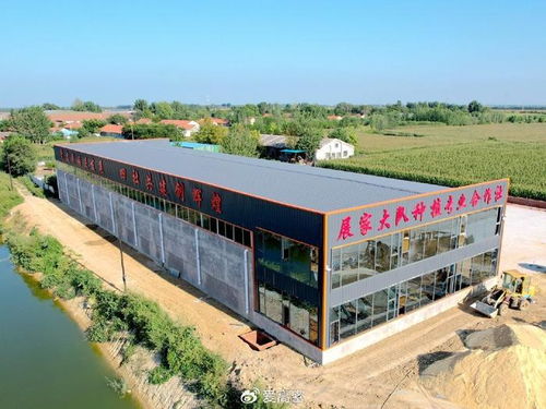 高密市大牟家镇展家村党支部领办合作社 以垃圾经营服务撬动区域共富新路径